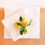 Lemon Hotel Mentone