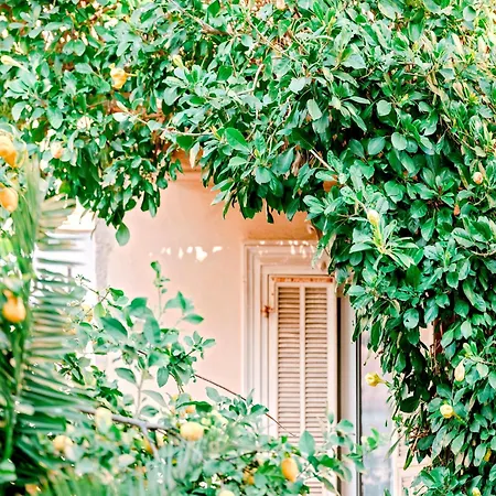 Lemon Ξενοδοχείο 2*