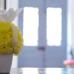 Ξενοδοχείο Lemon